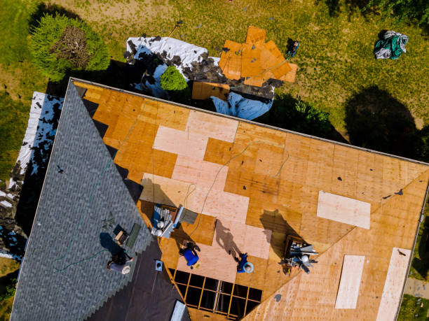 Best Slate Roofing Contractor  in Columbia, MS