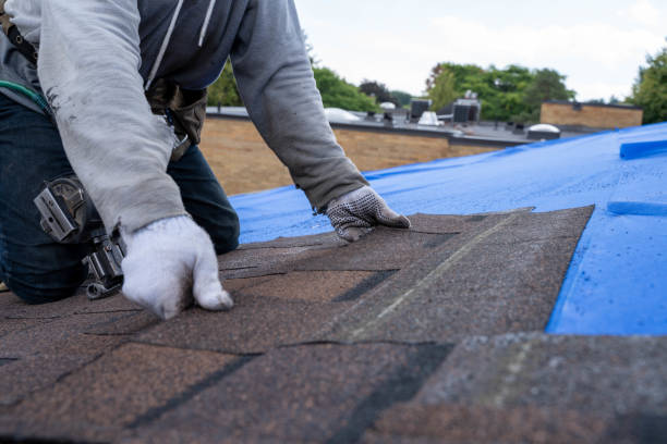 Best Roof Leak Repair  in Columbia, MS